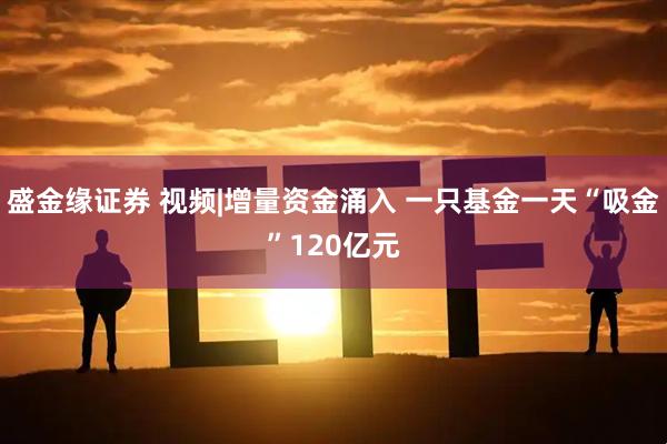 盛金缘证券 视频|增量资金涌入 一只基金一天“吸金”120亿元